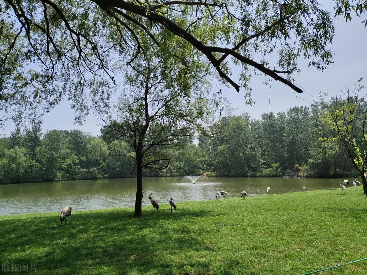 2022年春节秦皇岛免费景点一览表,秦皇岛65岁以上老人免票景点大全