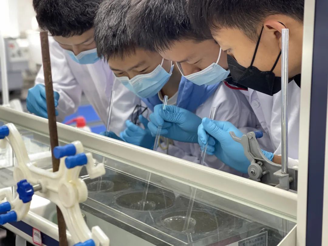 树德协进中学喜报,树德协进2023一本率