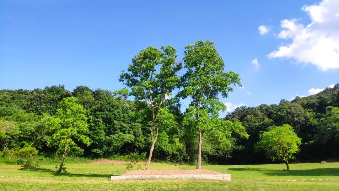 孩子们的快乐星球！周末带娃，肥西这些地方就够啦！