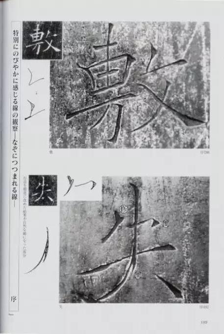 宸ョ瑪鐢绘潹鏅箟鐢诲唽,鏉滈箖鏉ㄦ櫘涔夊畬鏁寸増