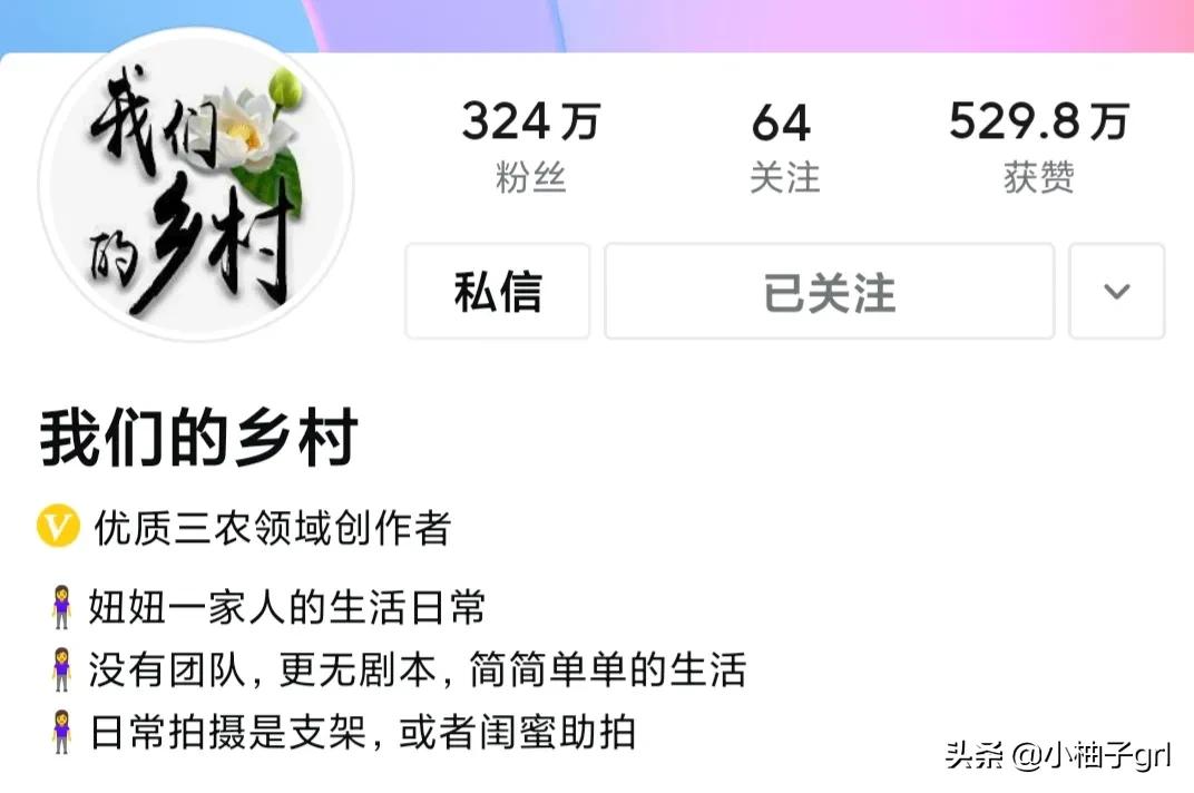 自媒体大咖之间的关系大揭秘桃子姐和幺弟妞妞和农村和小燕子