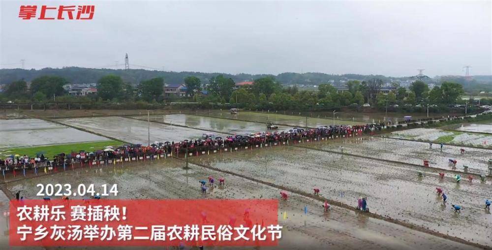 官方回应干部花49万插秧2亩助农,村干部插秧2亩助农活动官方回应