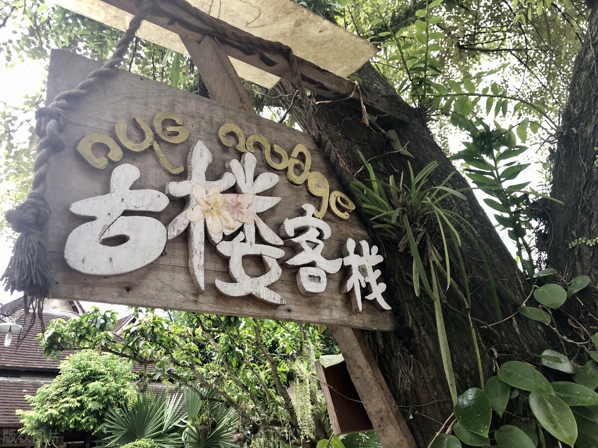 西双版纳最适合住的地方,西双版纳避寒避暑的雨林仙境