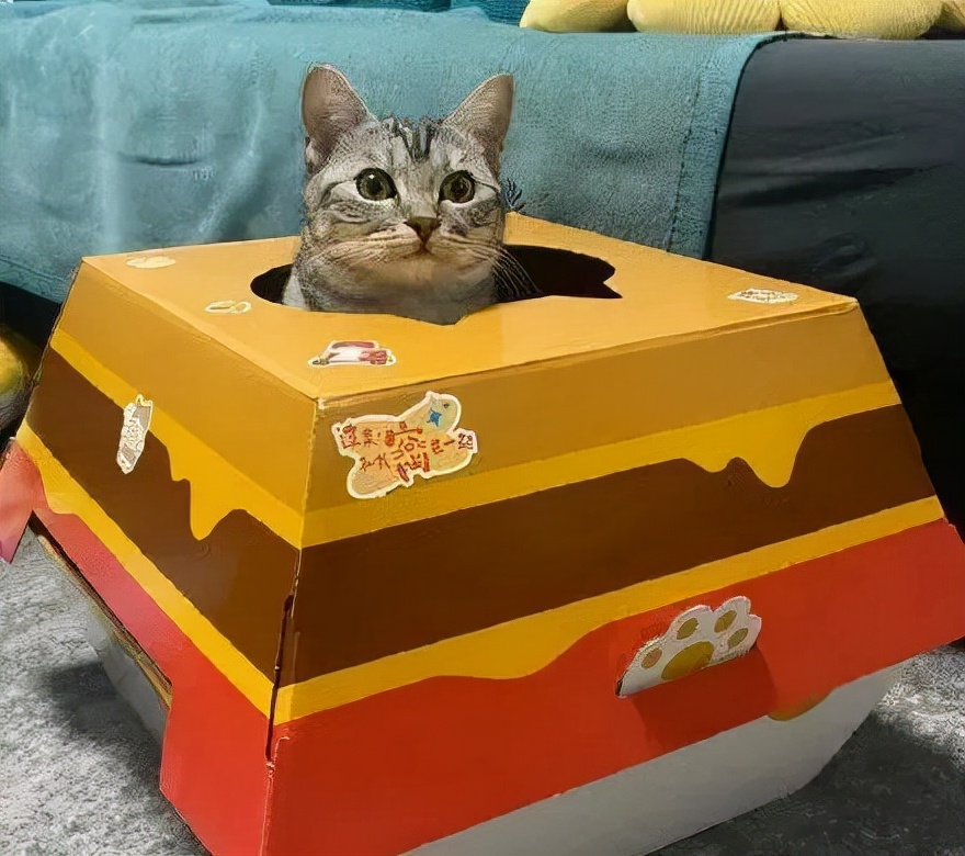 上海麦当劳事件,麦当劳记录真实生活原创照片