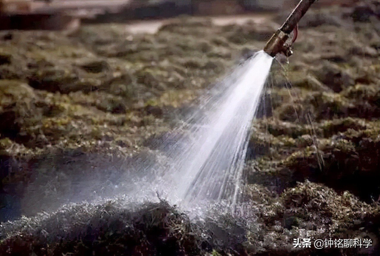 十多年的普洱熟茶还能喝吗有毒吗,普洱茶熟茶15年能喝吗