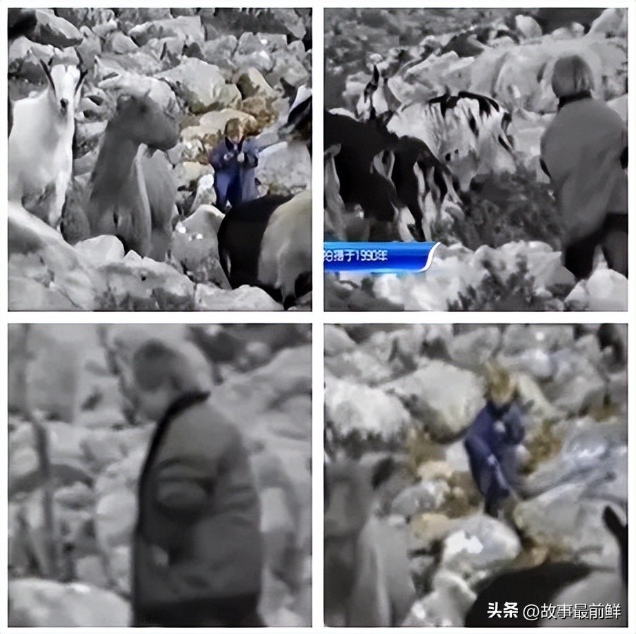 莫德里奇的励志故事,克罗地亚莫德里奇传奇经历