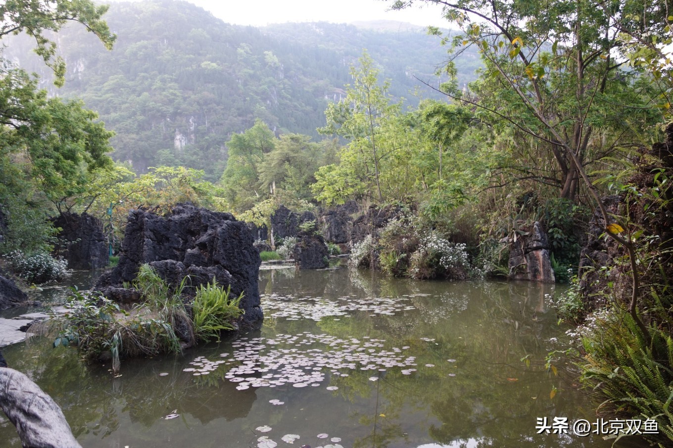 贵州黄果树最美的地方,贵州黄果树旅游攻略自由行