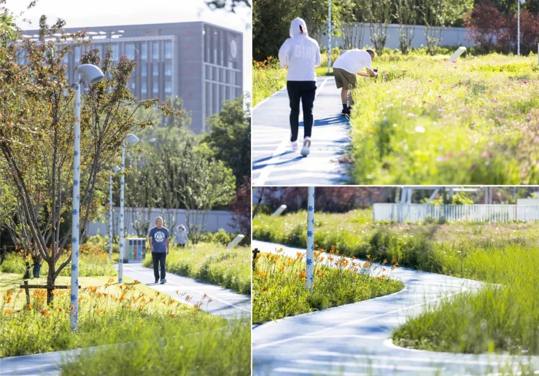 北京适合6岁娃玩的儿童乐园,遛娃好去处北京大兴