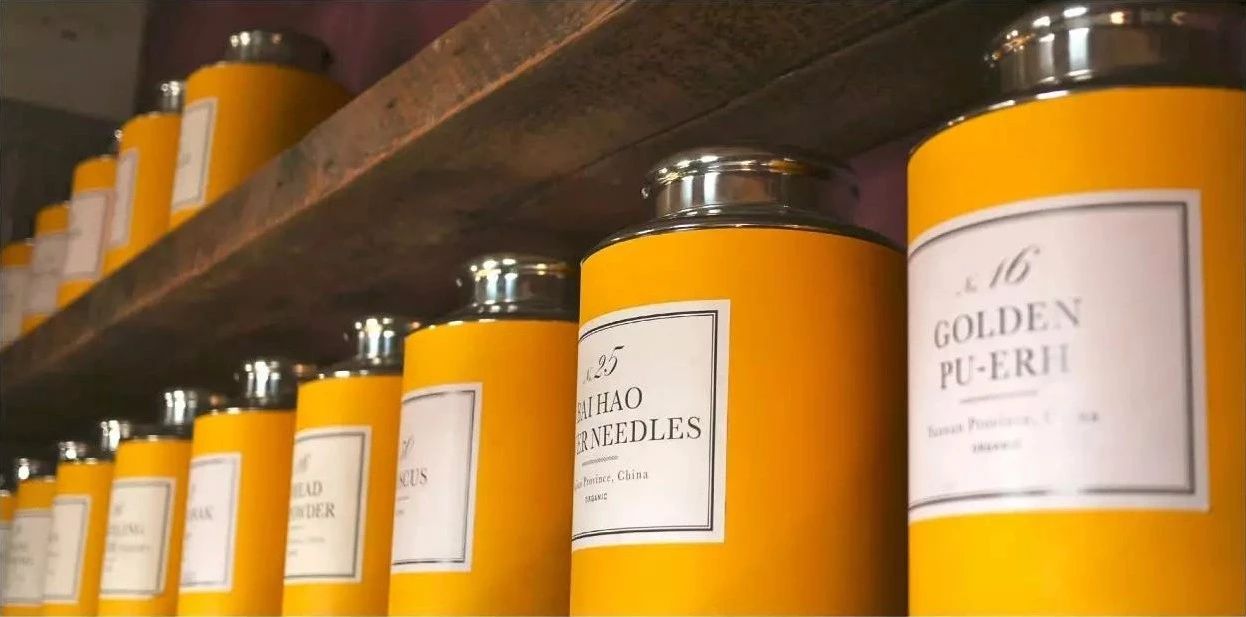 鏂囧湥鑼惰瘽,鏂囪儨鑼惰