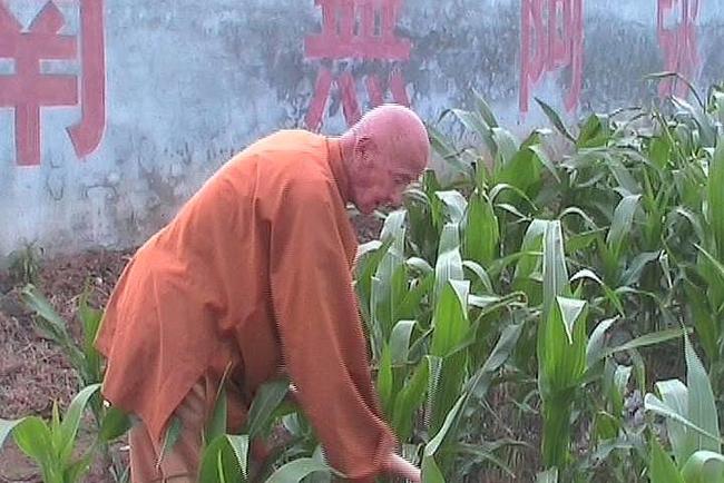 112岁不老僧,以戒为师,一句南无阿弥陀佛,念了92年