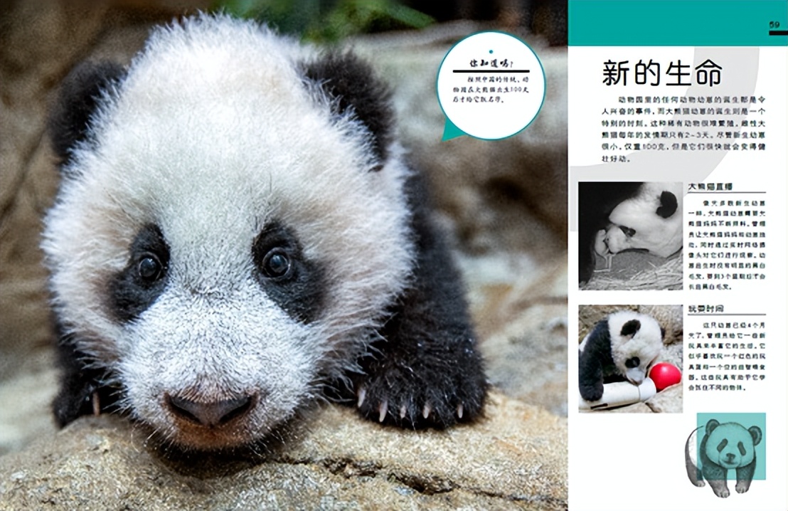 dk动物园全套,dk揭秘动物王国的奥秘