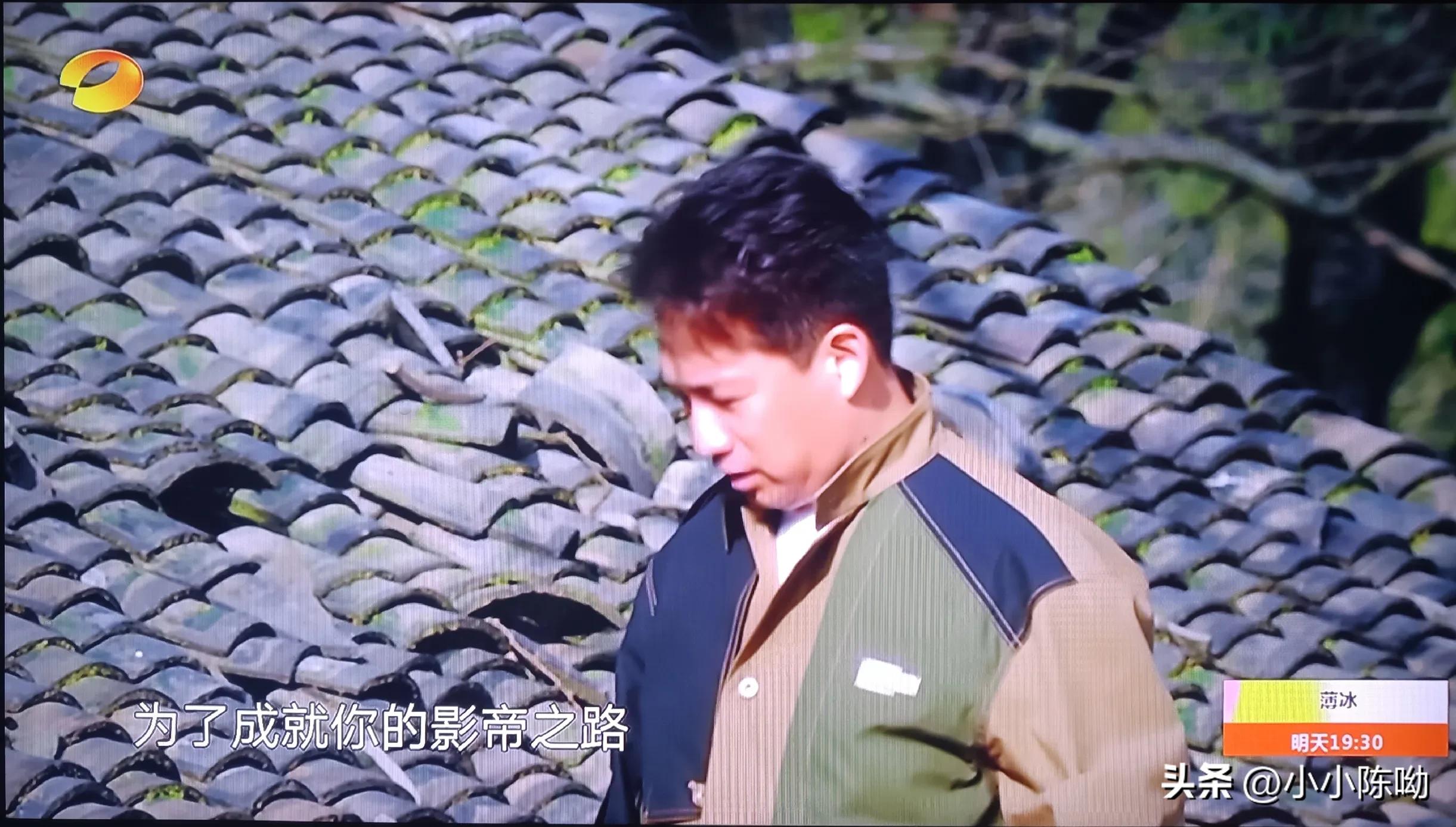 新一季向往的生活艺兴,新一季向往的生活从哪里可以看到