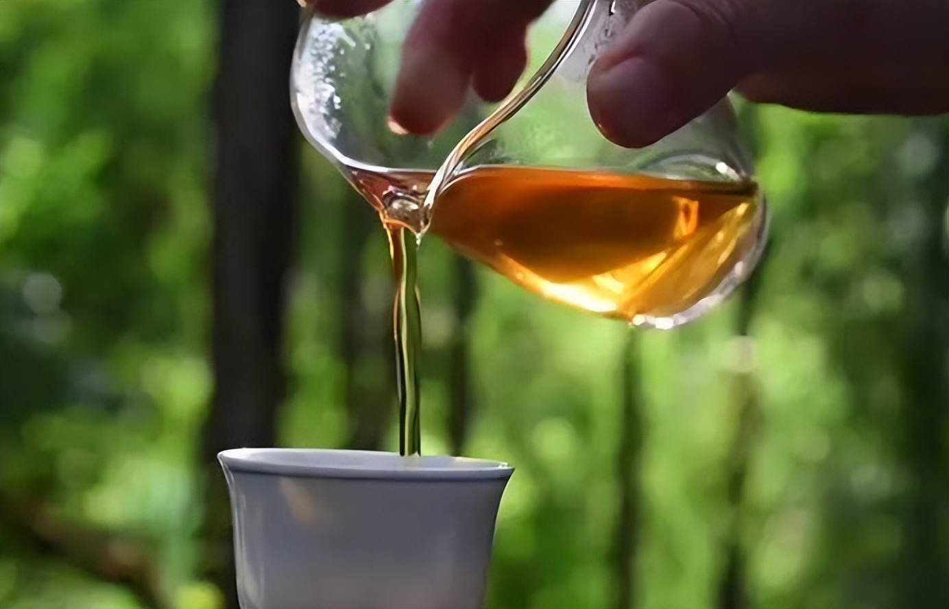 购买茶叶注意事项及禁忌,购买茶叶的十大禁忌