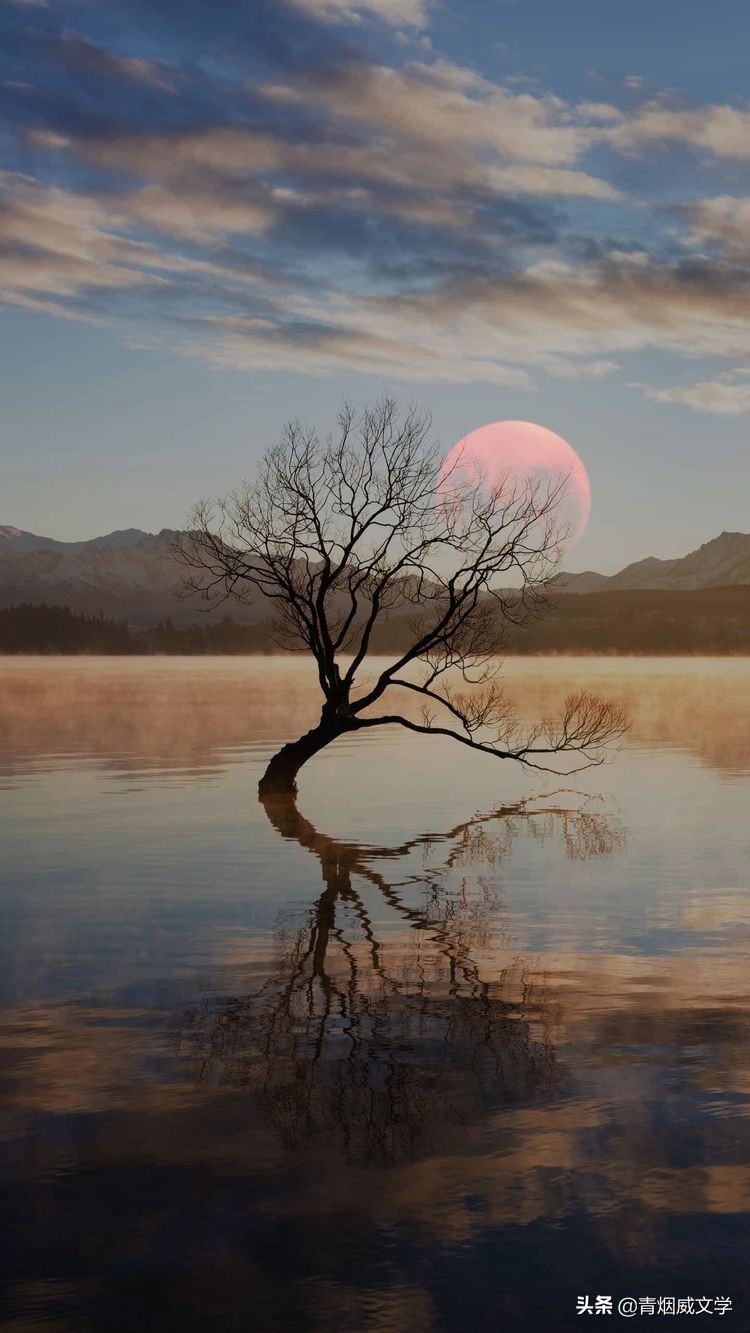 为艺术多一次曝光