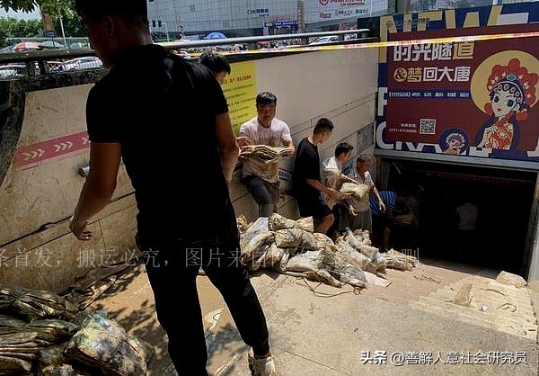 郑州暴雨店铺被淹怎么办,郑州商户被淹损失严重