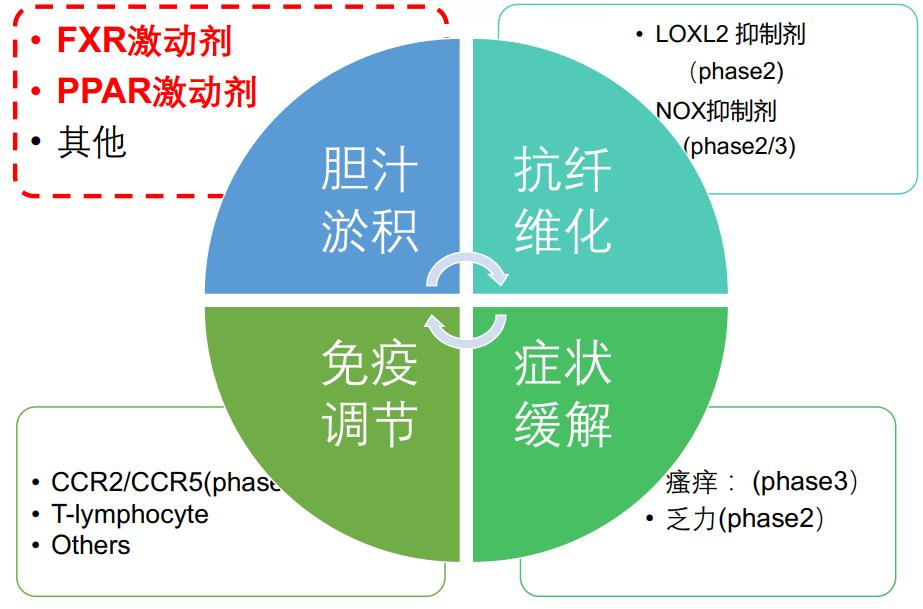 段维佳教授：谈肝论道，细说PBC与PSC的新药研发进展