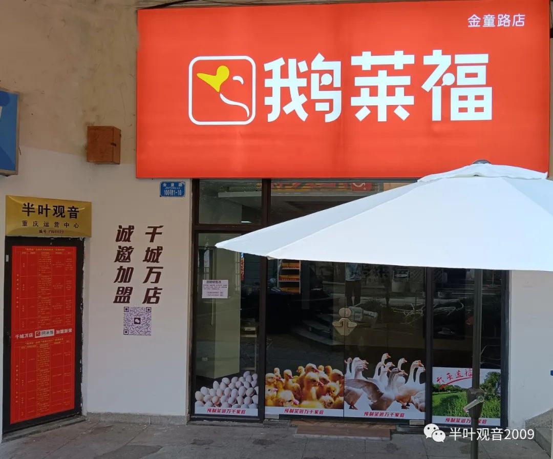 【公证】黄太强体验鹅莱福大渡口区招商合伙人，1月炒牌补贴110元