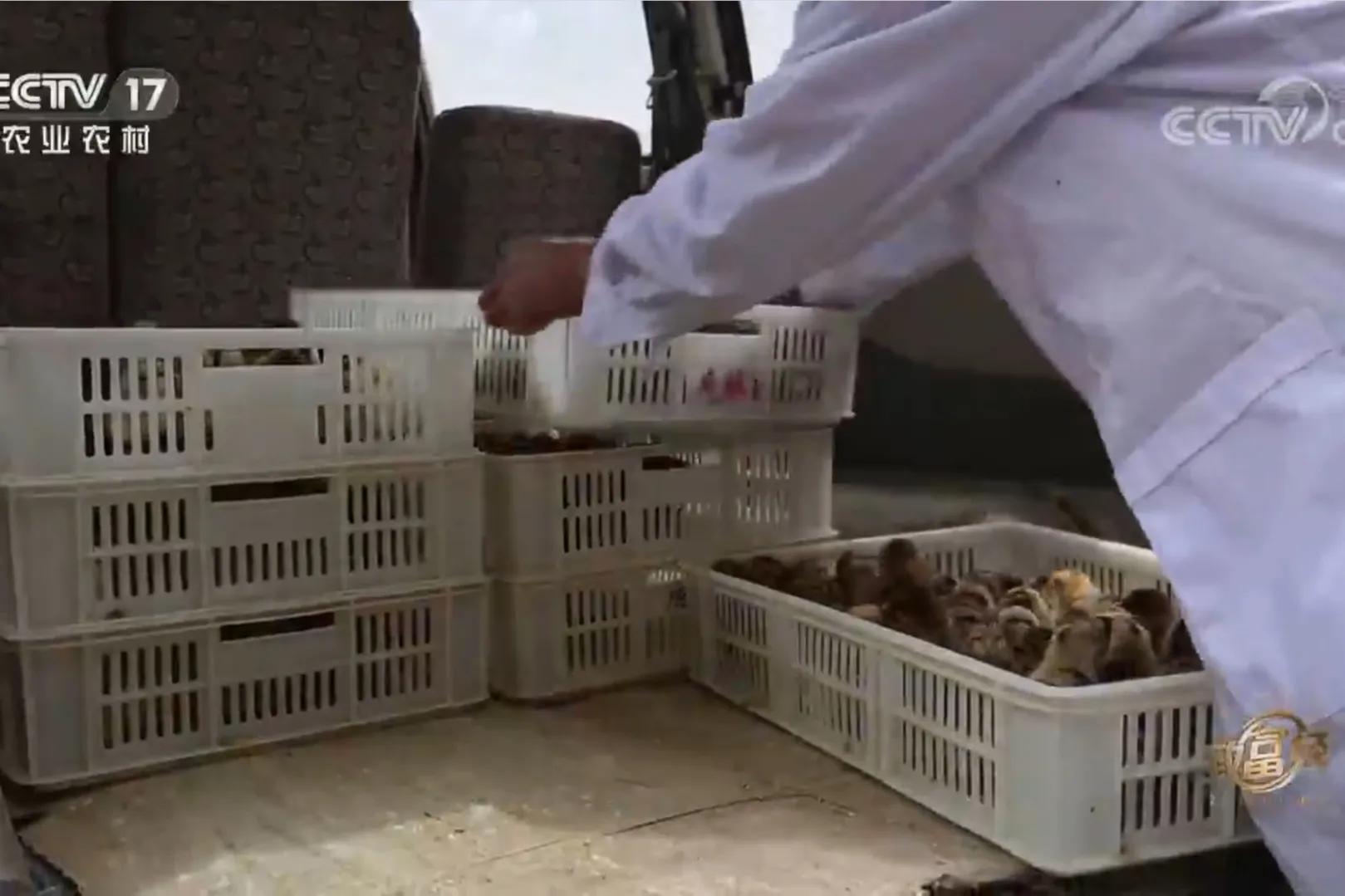 200亩荒山变成聚宝盆,荒山摇身一变成村民聚宝盆