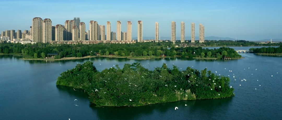 为什么乐清东西那么贵,为什么叫乐清这个名字