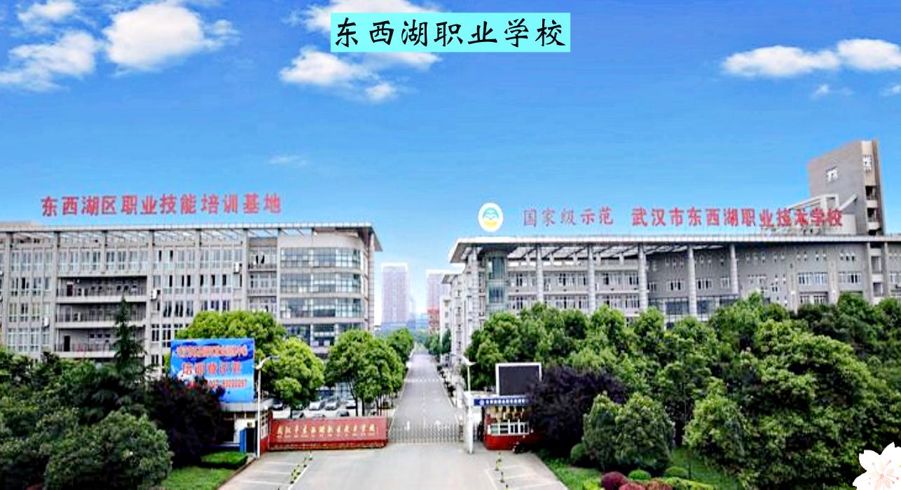 武汉东西湖教育规划,东西湖区和黄陂区的教育对比