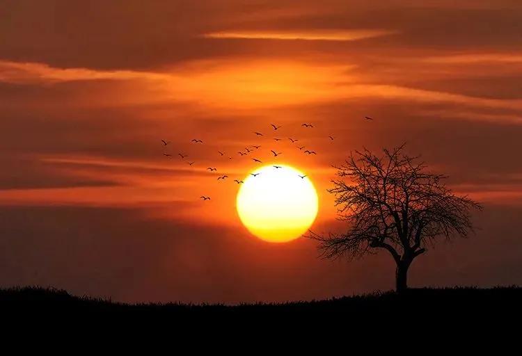 笔画简单寓意好的女孩名字,12笔画女孩名用的字