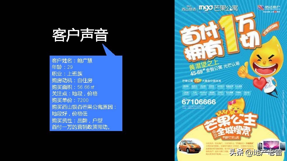 合肥一手楼盘销售策划方案,合肥墅房房地产营销策划