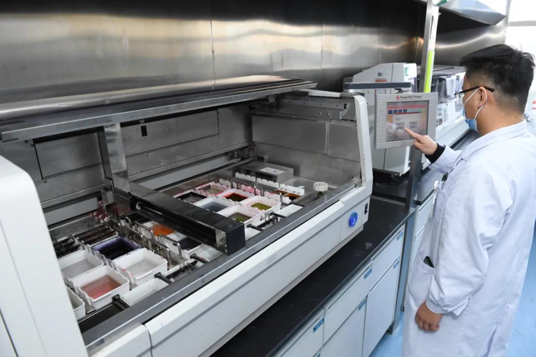 活体病理切片是什么,探访医院病理科