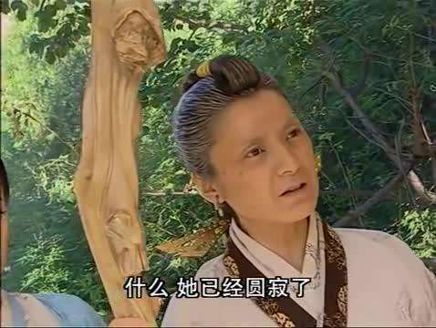 明教紫衫龙王真面目,波斯明教紫衫龙王