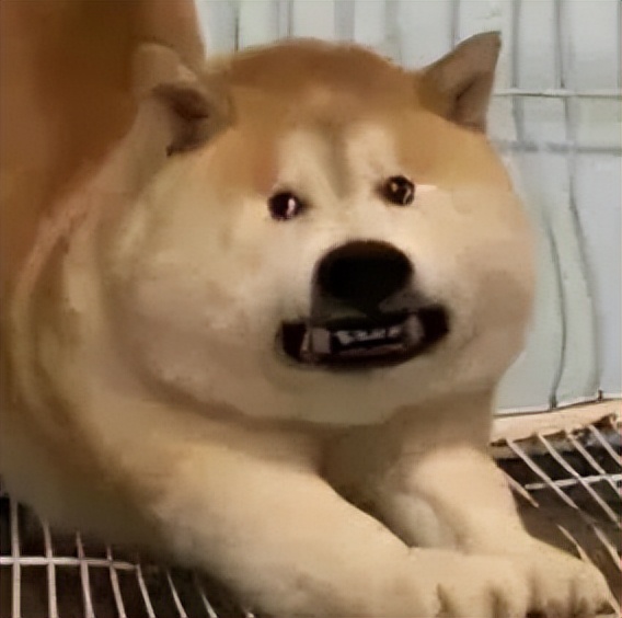 贩剑表情包评论区,贩剑表情包不回消息