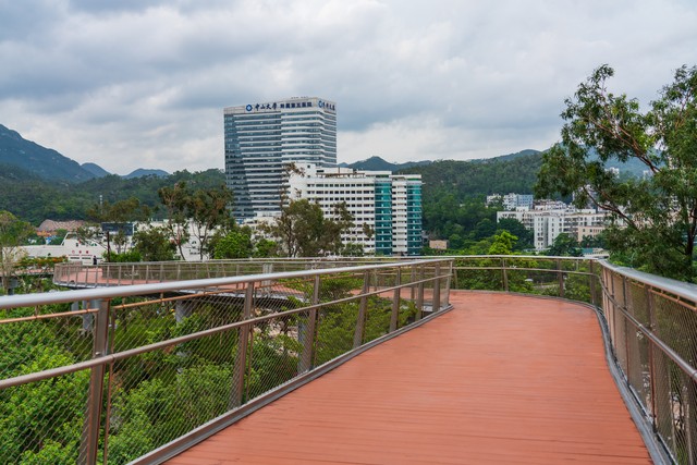 国内顶尖的十大医学院,国内顶尖20所医学名校