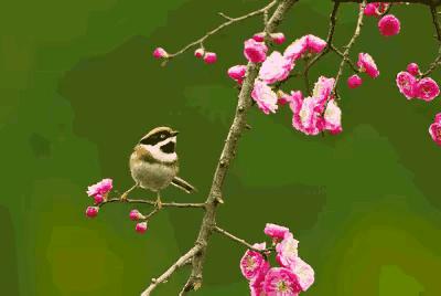 2023年03月03日星期五农历：癸卯年【兔年】二月十二八九第9天