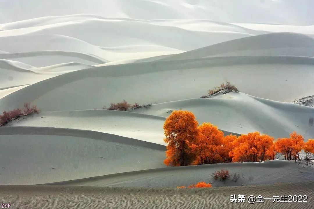 通货膨胀与通货紧缩的循环周期,通货膨胀与通货紧缩政府调控