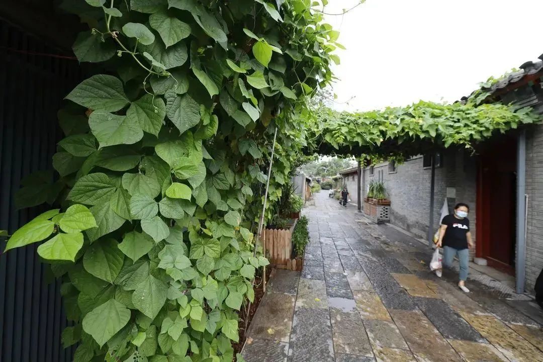 蓝天净土碧水,蓝天碧水净土昆明