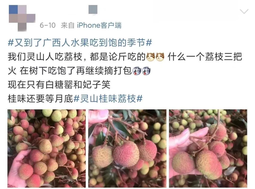 在广西，你永远不知道天上会掉下来什么