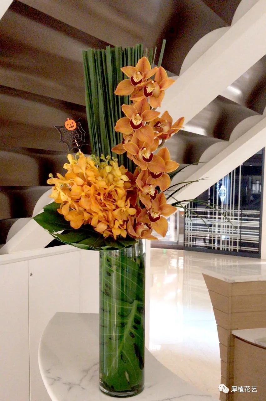 商务前台鲜花,前台花选择