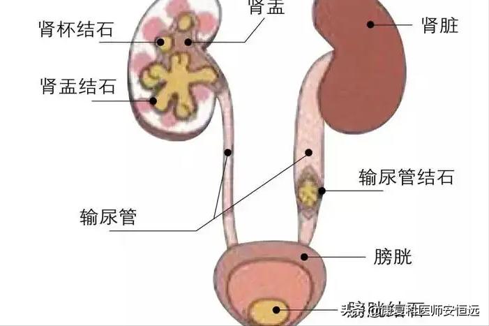 世上最疼的病是什么病？临床上这3种“疼痛”，经历过的都是超人