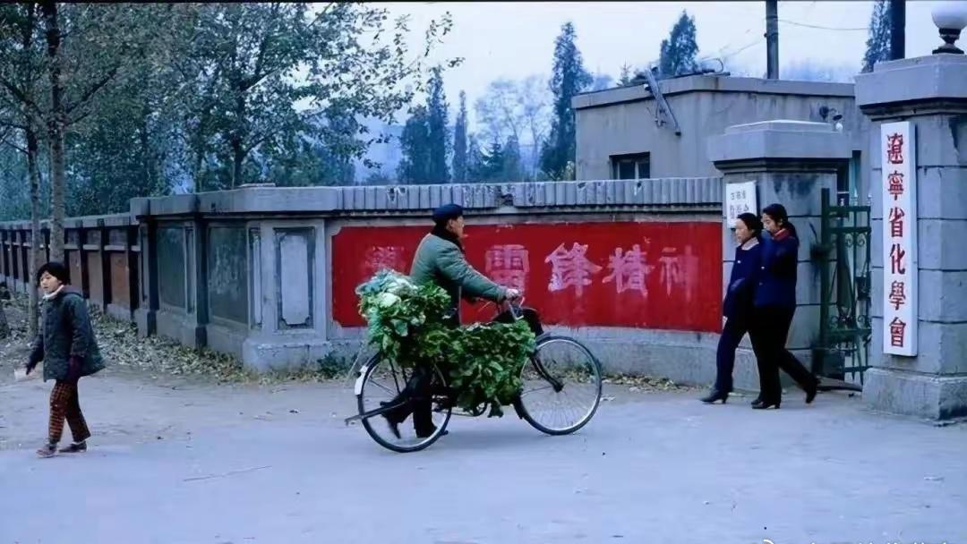 鏃ュ啗鏃ヨ涓殑灞犳潃鎴樹繕璁板綍,鏃ュ啗鏃ヨ