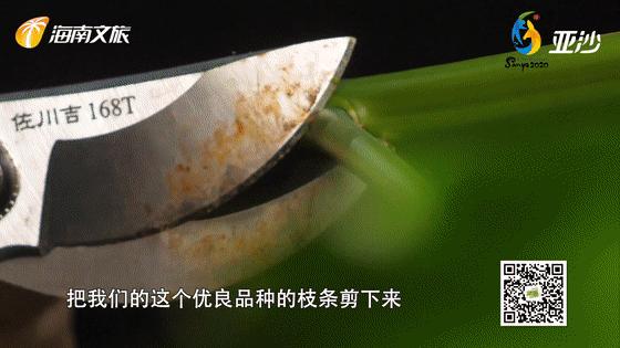 点进来，了解爱上兴隆“歌碧欧”的N个理由～