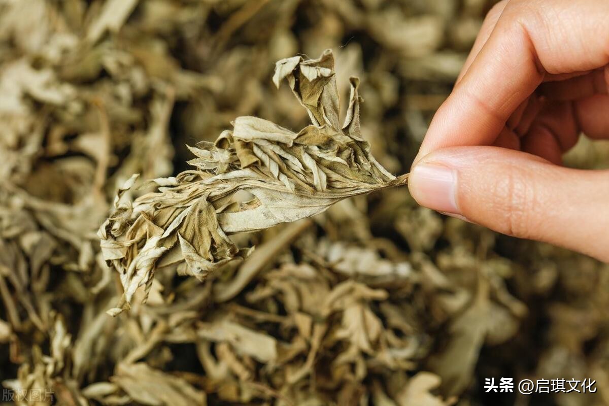 蚊子太多最有效的土方法,一招就能让家里的蚊子再也没有了