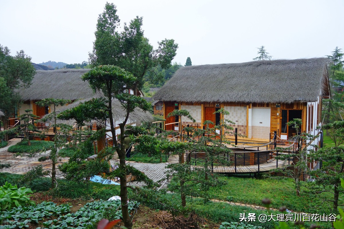 未来富人的财富,真正的富人都是怎样的