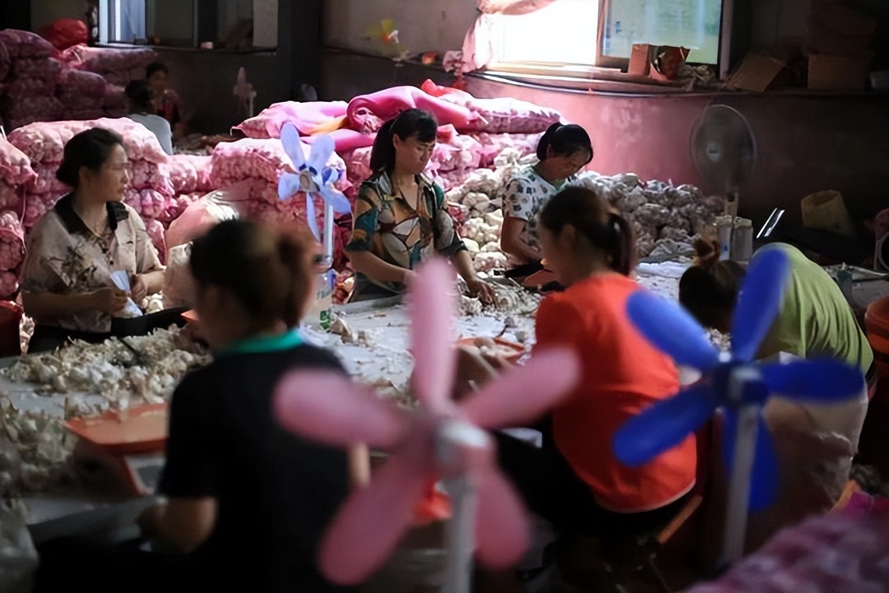 电商助力金乡人，打得一手好“蒜”盘