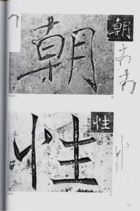 宸ョ瑪鐢绘潹鏅箟鐢诲唽,鏉滈箖鏉ㄦ櫘涔夊畬鏁寸増