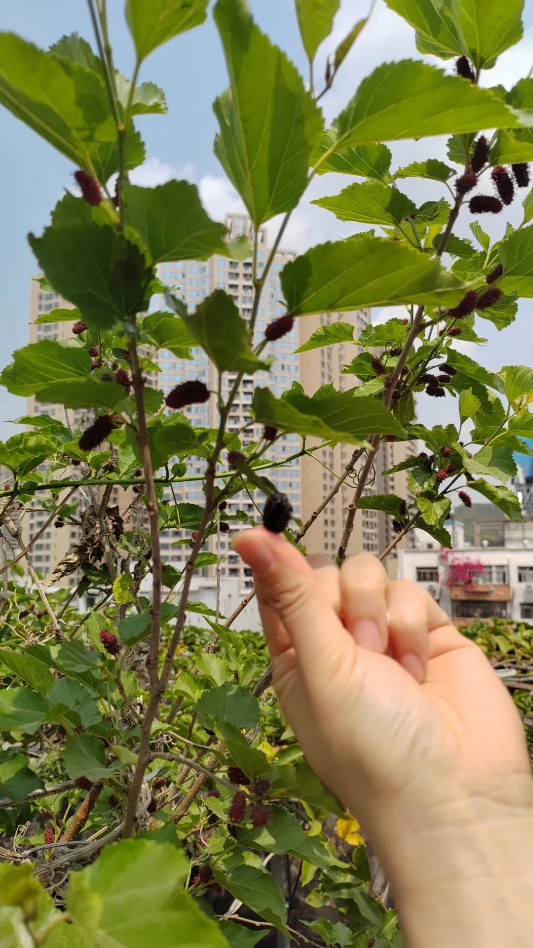 学习外贸跟单操作的收获,没经验怎么做外贸跟单赚钱