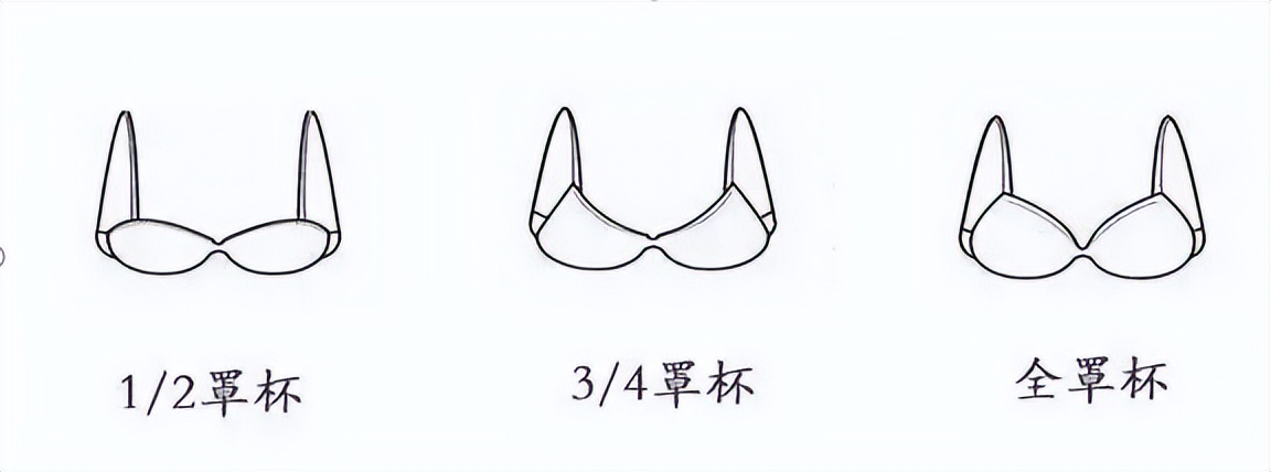 内衣小知识文字及配图,内衣行业需要了解的知识