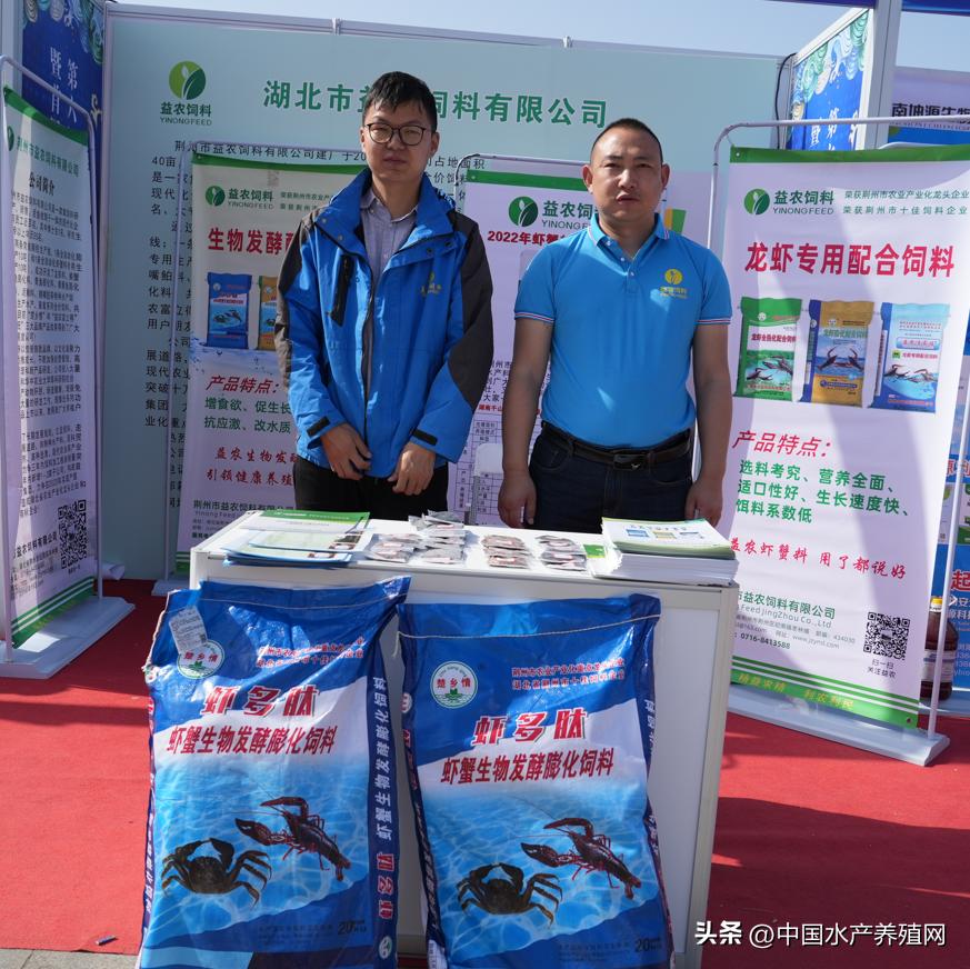 2023年南县小龙虾价格行情,南县小龙虾价格报价