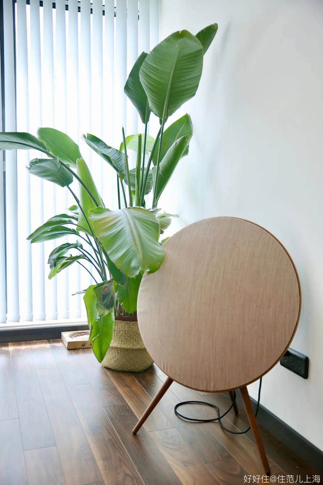 独居75㎡，大落地窗+电影院客厅，狠狠羡慕了