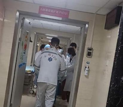 最新后续！成都2岁女童遭烈犬撕咬，右肾挫裂，狗主人发声被声讨