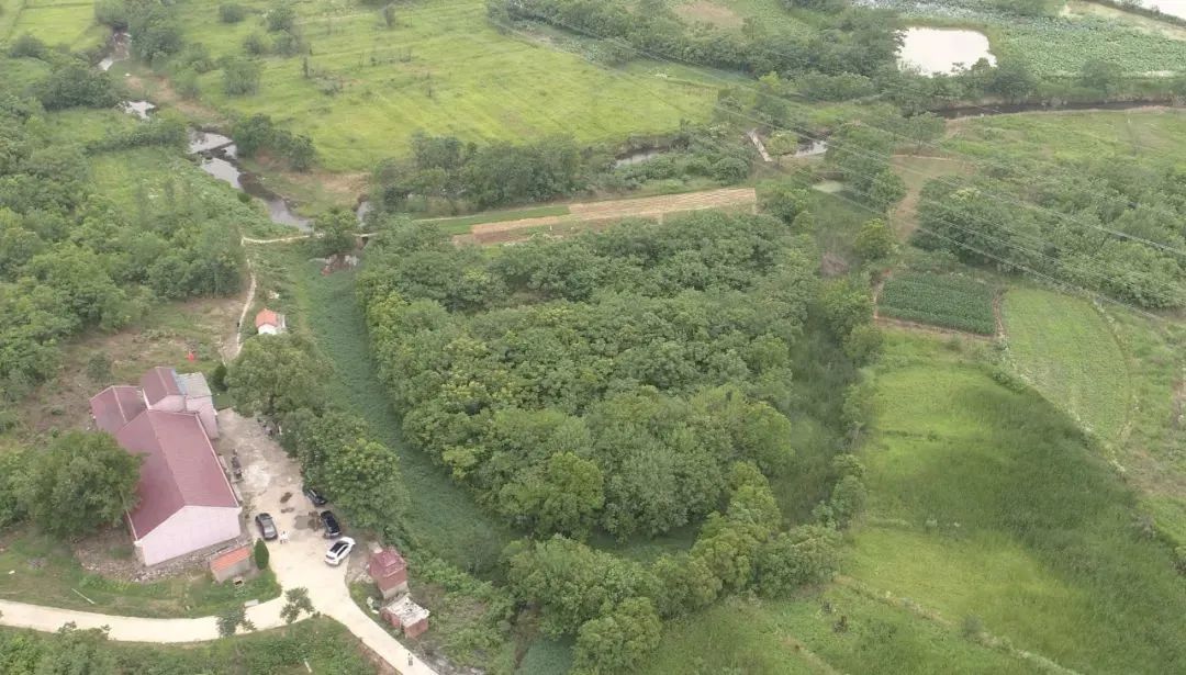 2022新洲文旅精彩不断，2023诗与远方步履不停