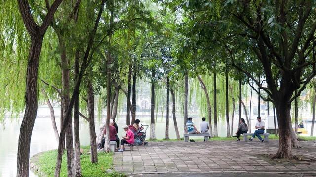 50岁女士退休后的感受,55岁退休后的生活方式