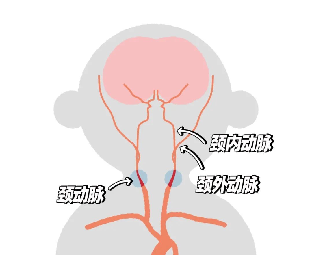 种草莓好幼稚,种草莓太幼稚了